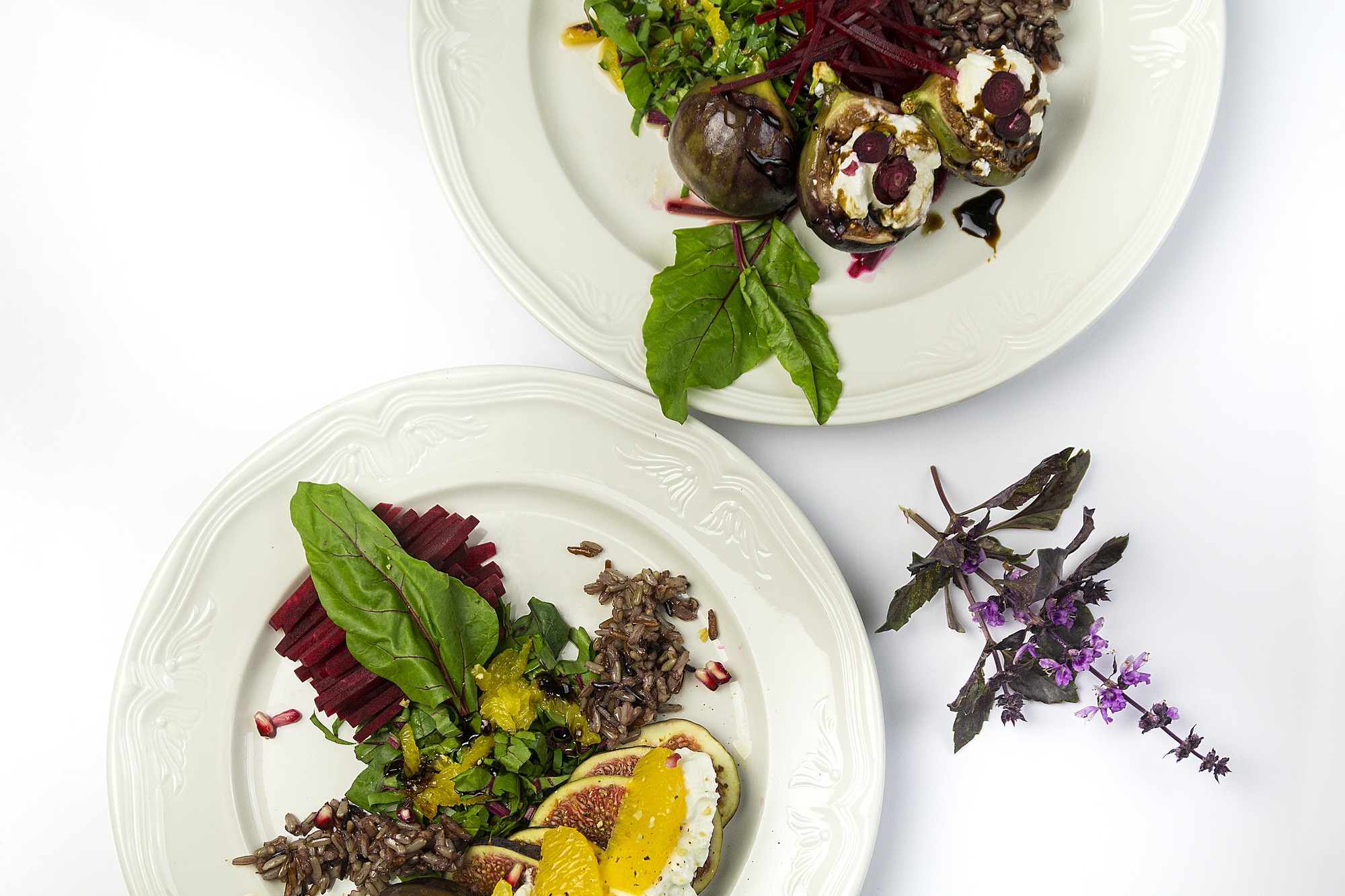 Close up of plated seasonal entrée with herbs